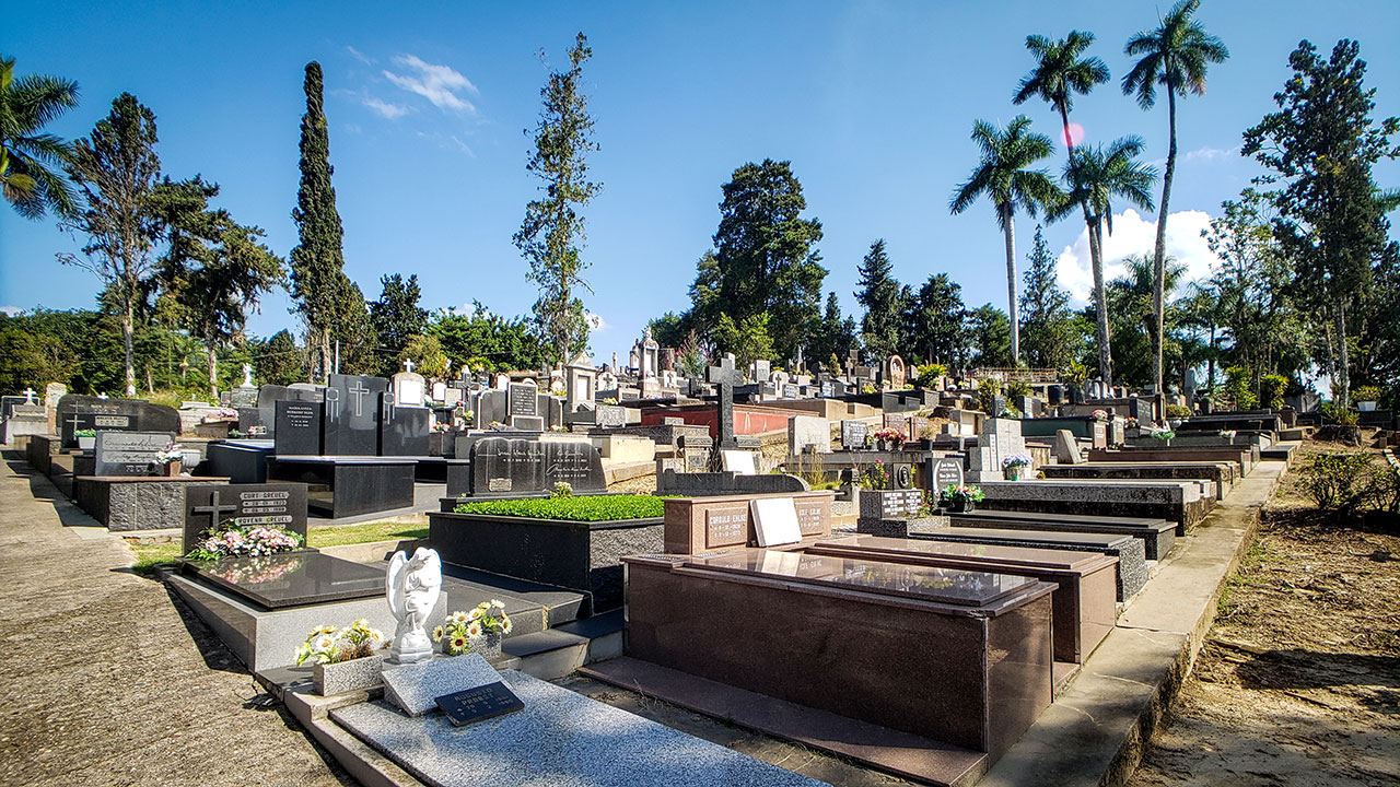 A História do Cipreste na Toscana e Grécia