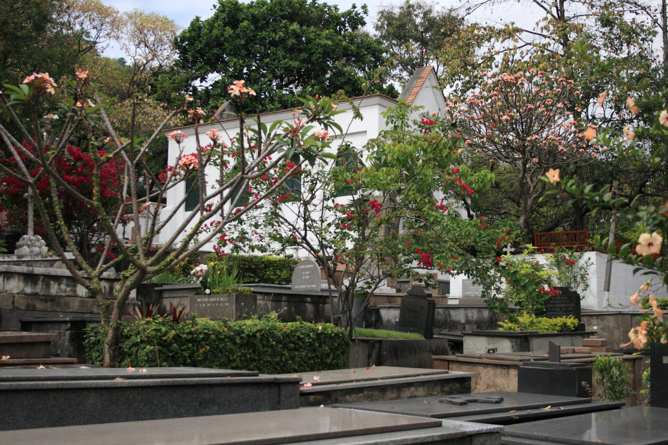 árvores em cemitérios famosos