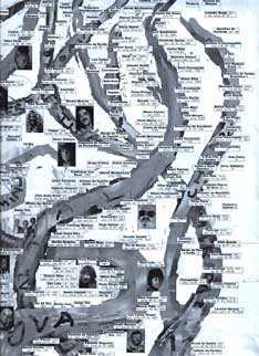 Playlist Temática: Árvores que Inspiram a Música do Brasil