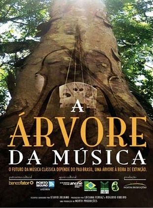 As 10 Espécies de Árvores Mais Cantadas na Música Brasileira