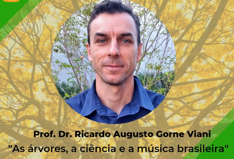Música e Consciência Ambiental: Canções Brasileiras Contra o Desmatamento