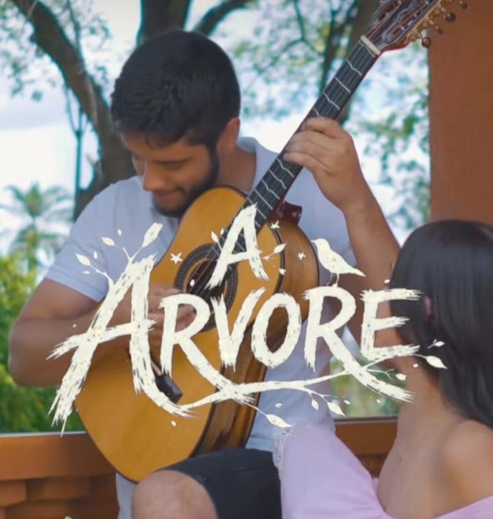 Playlist Temática: Árvores que Inspiram a Música do Brasil