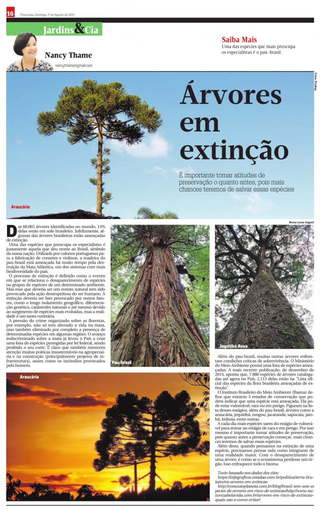 lista de árvores em extinção no brasil