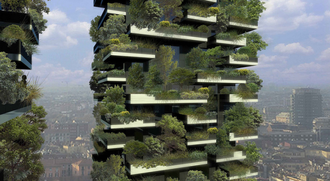 arvores em telhados de predios