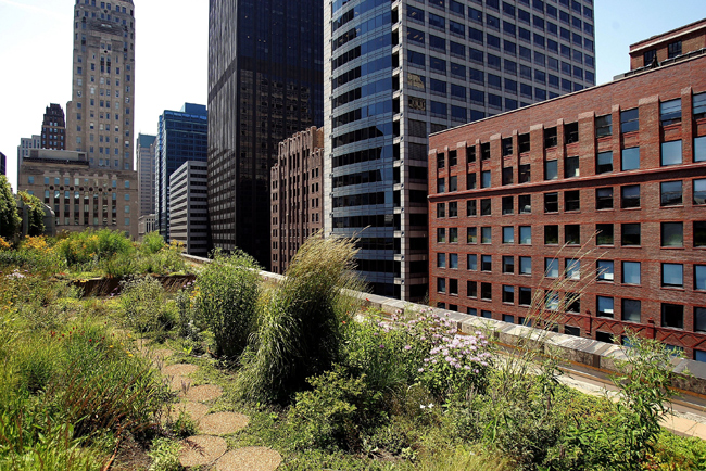 Guia completo de impermeabilização para telhados verdes