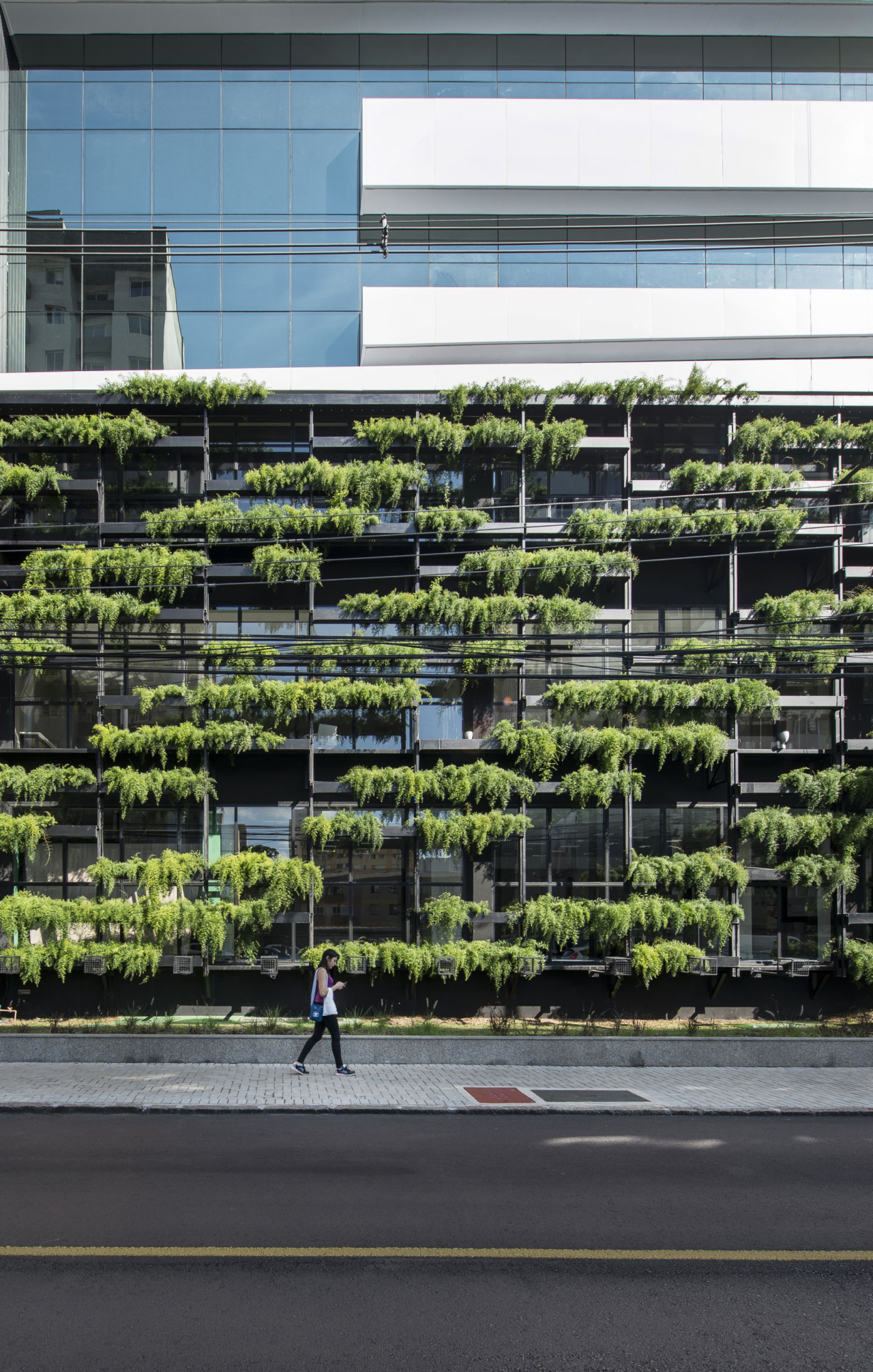 arvores em telhados de predios