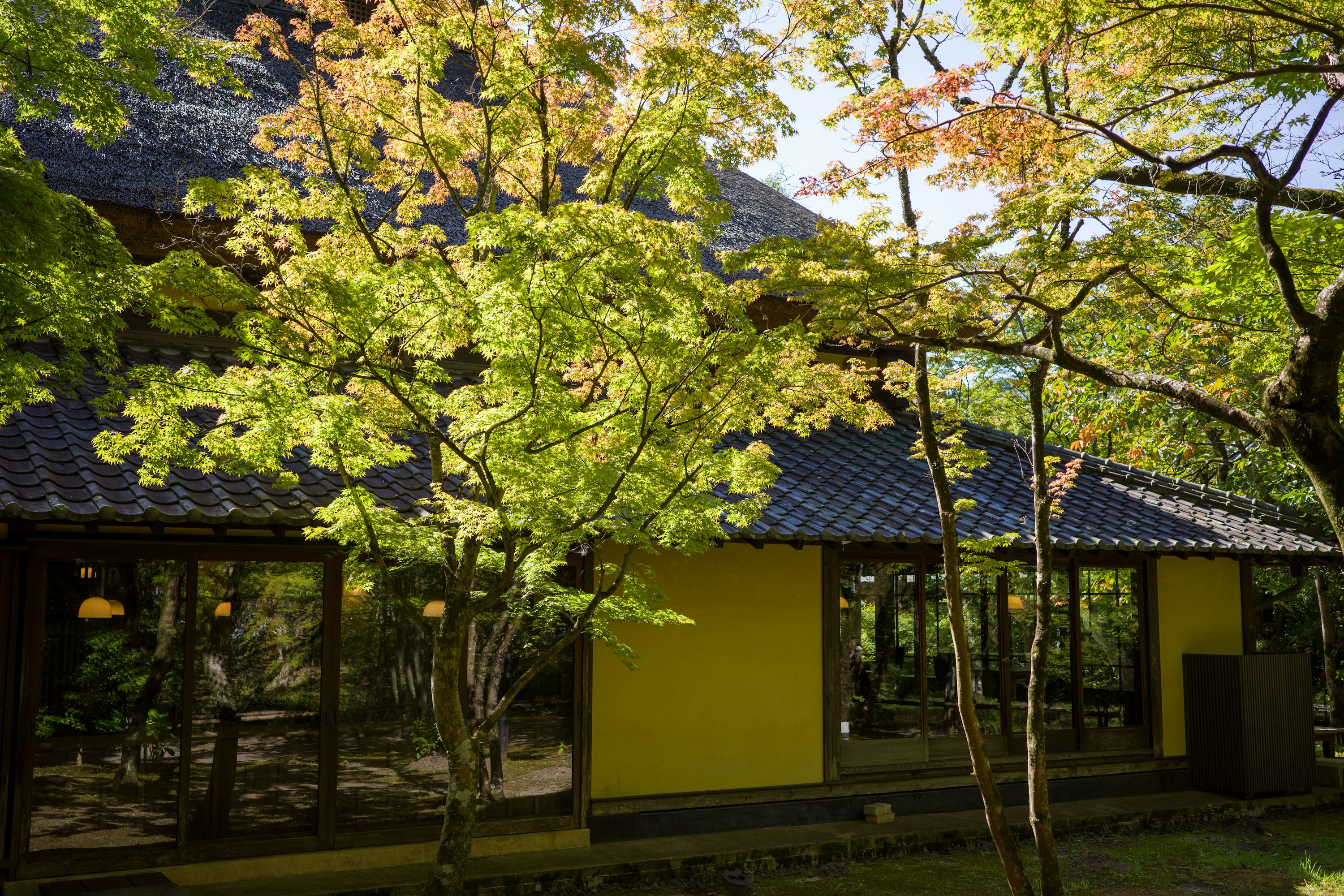 Vantagens e desvantagens das hortas urbanas em condomínios