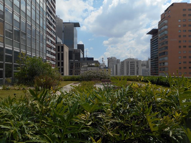 Vantagens e desvantagens das hortas urbanas em condomínios