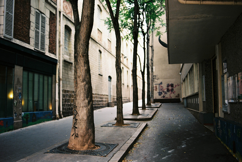 arvores frutiferas em calçadas