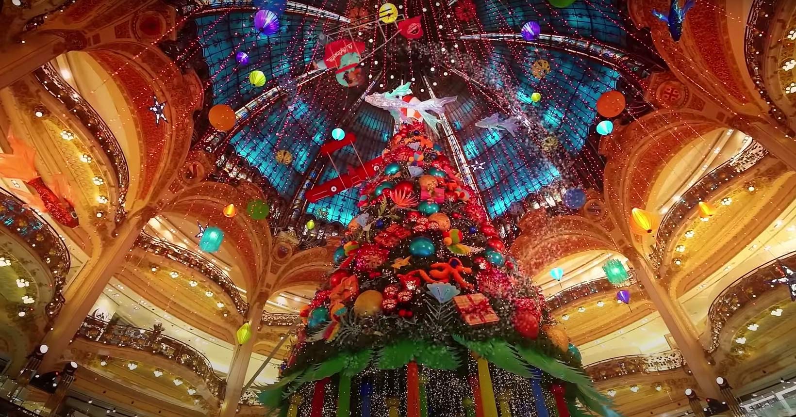 arvores mais bonitas do mundo