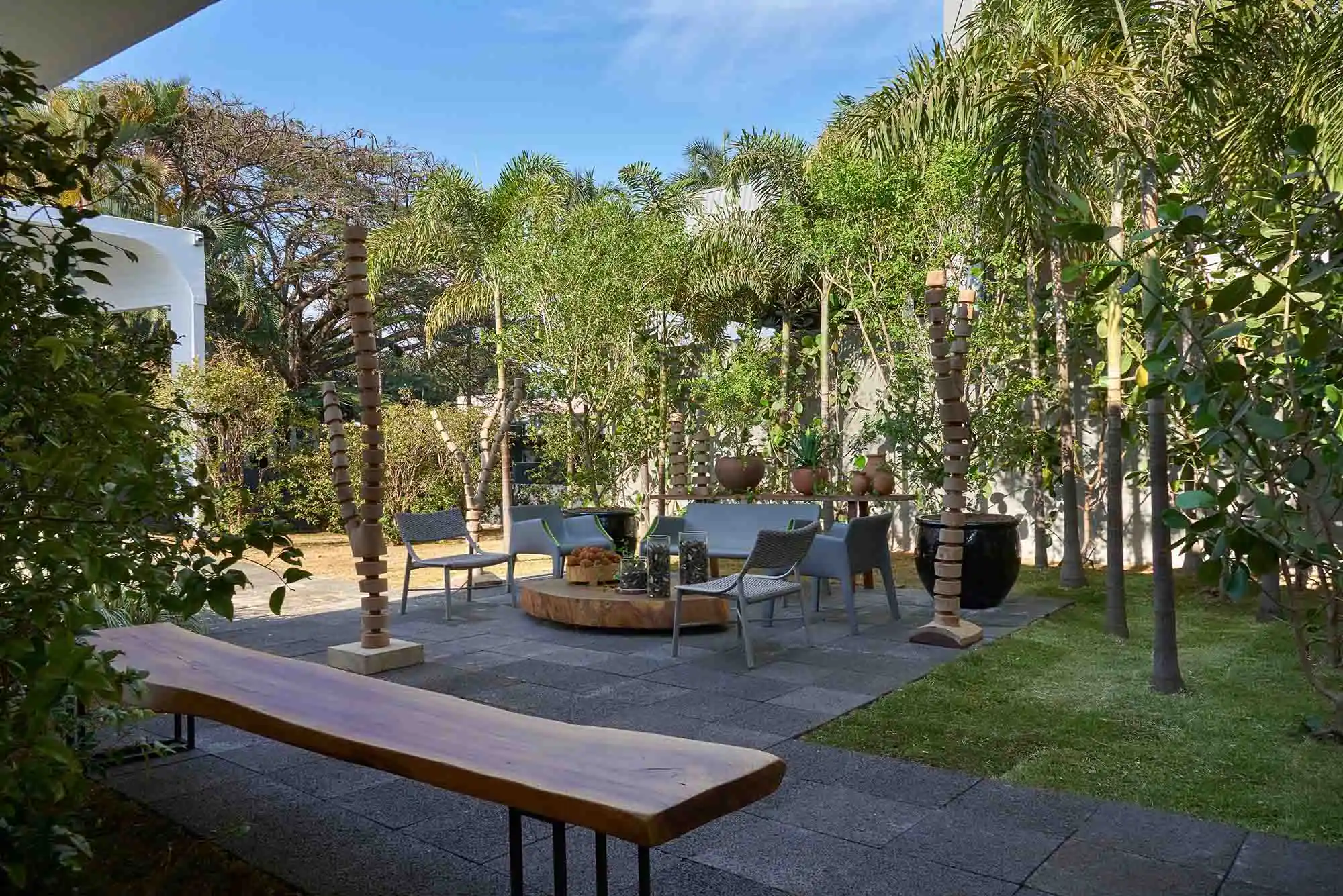 arvores para diminuir o barulho da rua