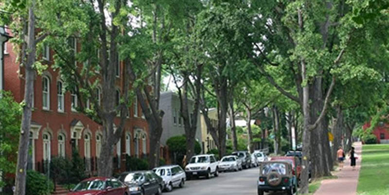 frescor e privacidade