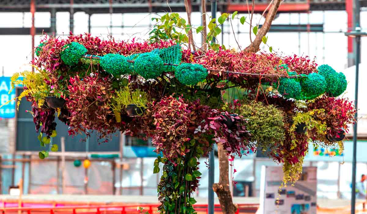 Manejo e poda: Mantendo sua barreira acústica natural sempre eficaz