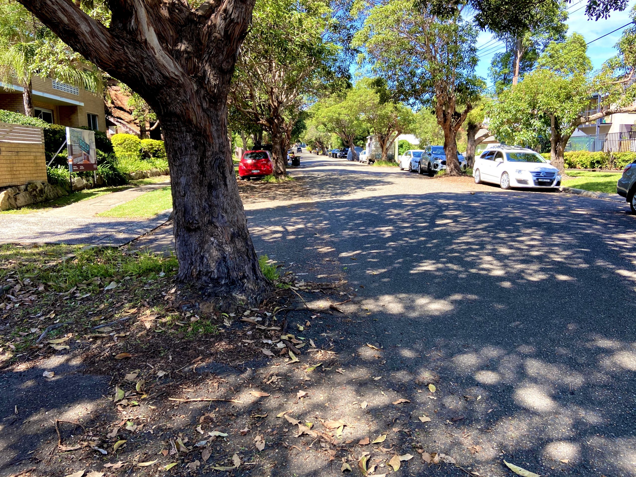 Jardim vertical: Solução inovadora para isolamento acústico em apartamentos