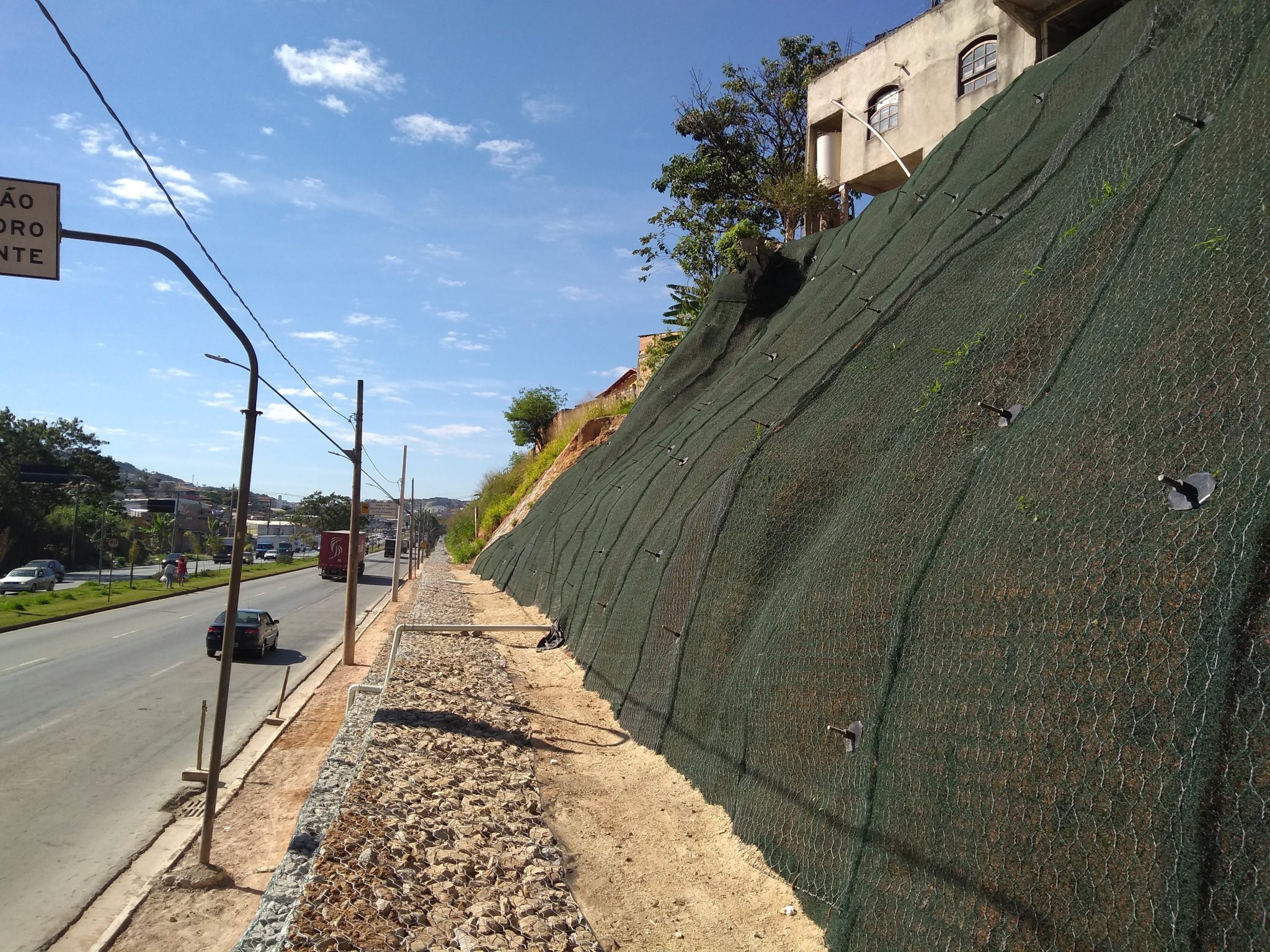 Como escolher a planta ideal para seu talude: Guia completo