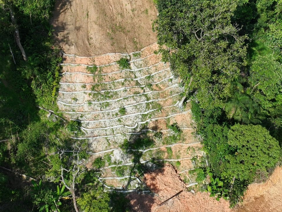 Retaludamento e plantio: O que você precisa saber para proteger sua encosta