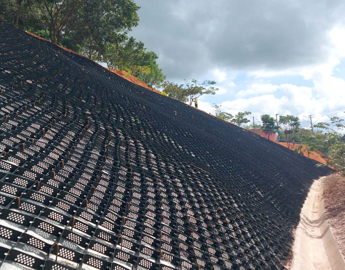 Como escolher a planta ideal para seu talude: Guia completo