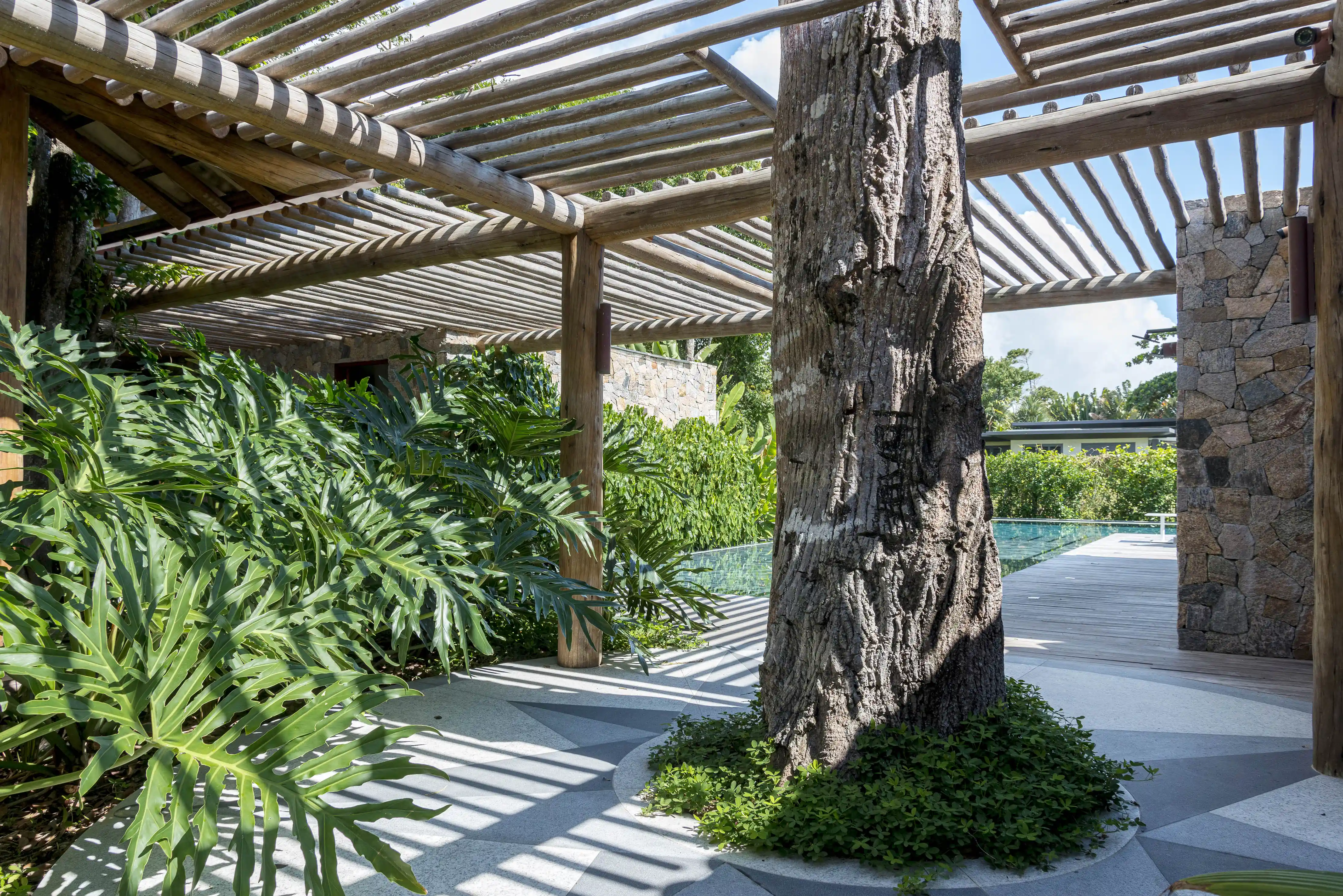 custo de plantas e árvores para pergolado