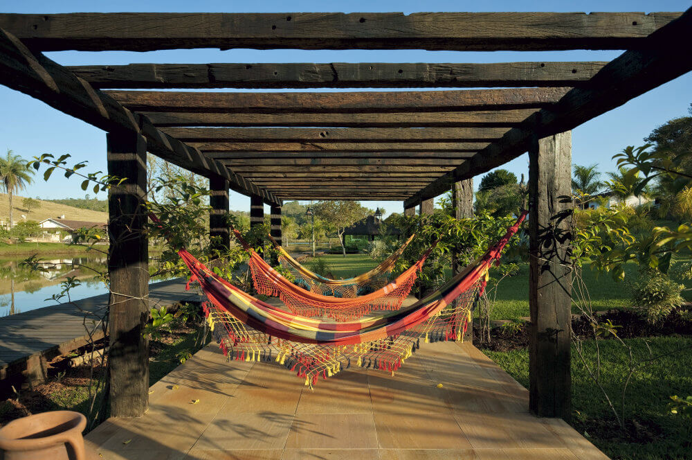 arvores para pergolados