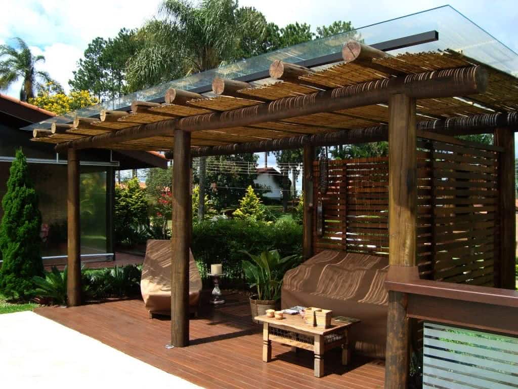 melhores trepadeiras para pergolado com sombra