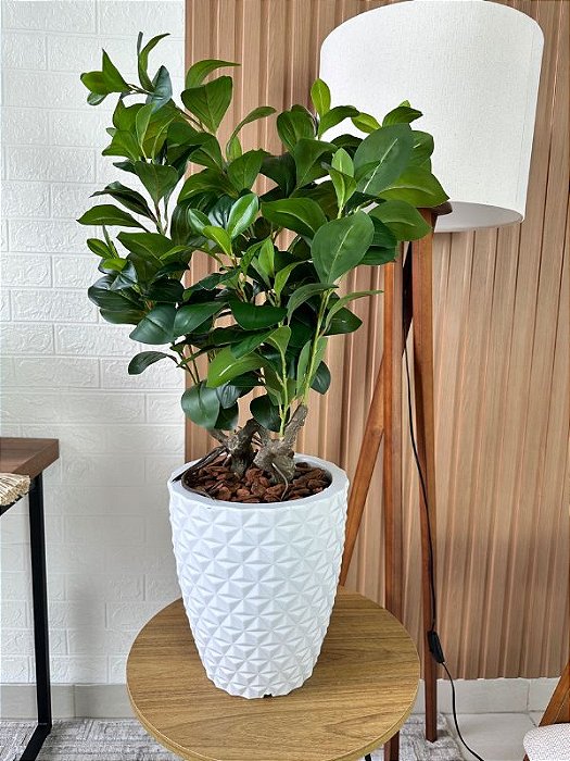 5 Melhores Adubos para Árvores em Vasos