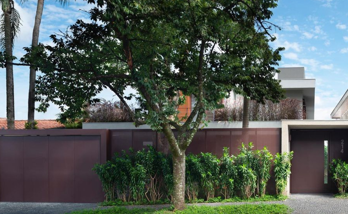 As Melhores Árvores para um Jardim Impecável: Guia Completo