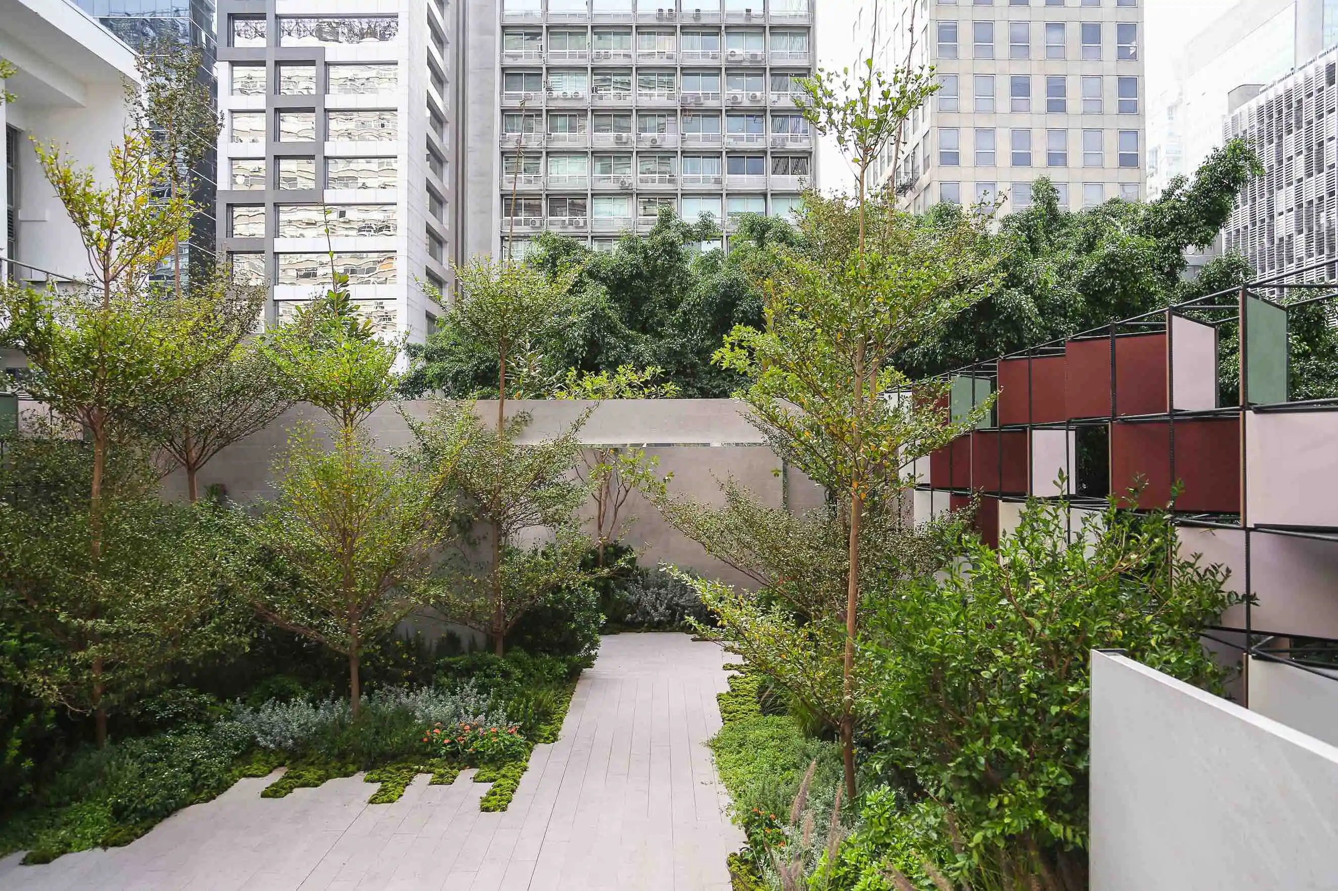 Como Escolher Árvores que Não Sujam: Dicas Essenciais para seu Espaço