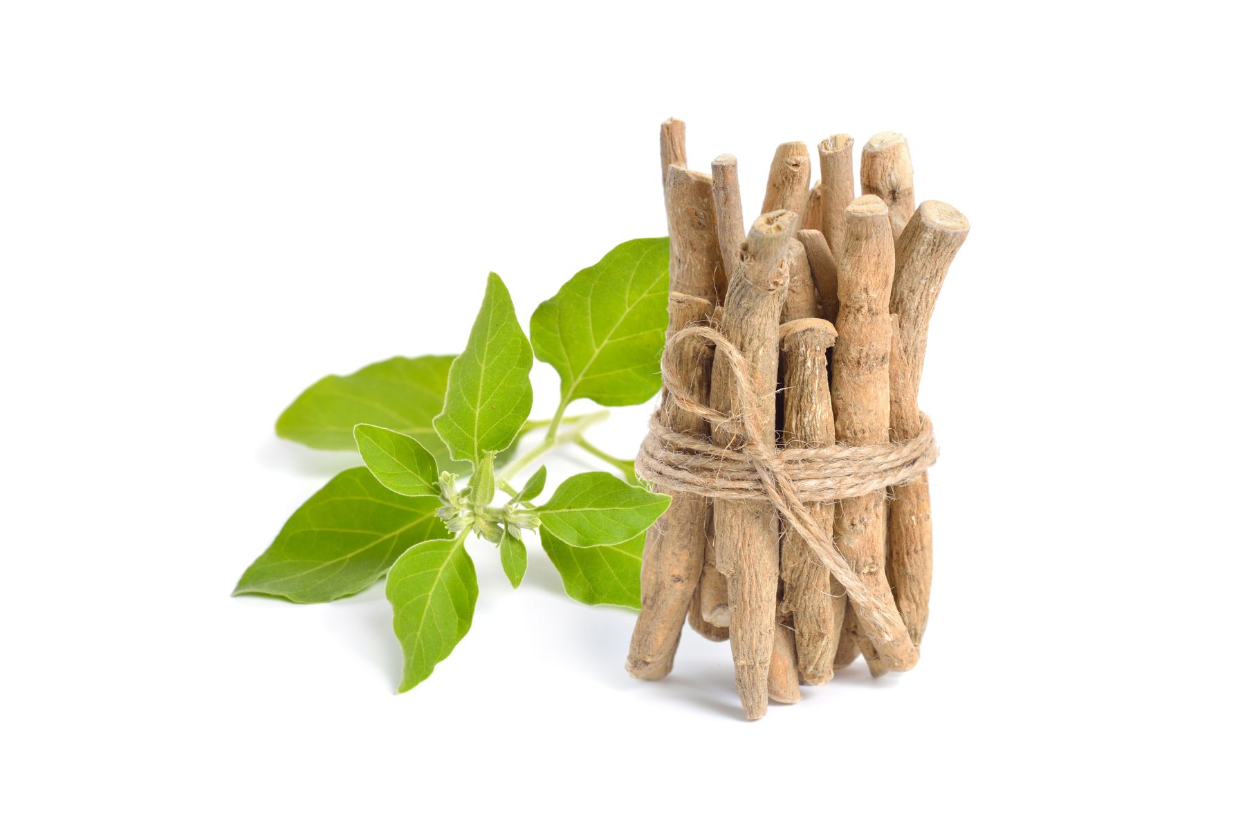 Os Mitos e Verdades sobre a Ashwagandha e o Controle de Peso