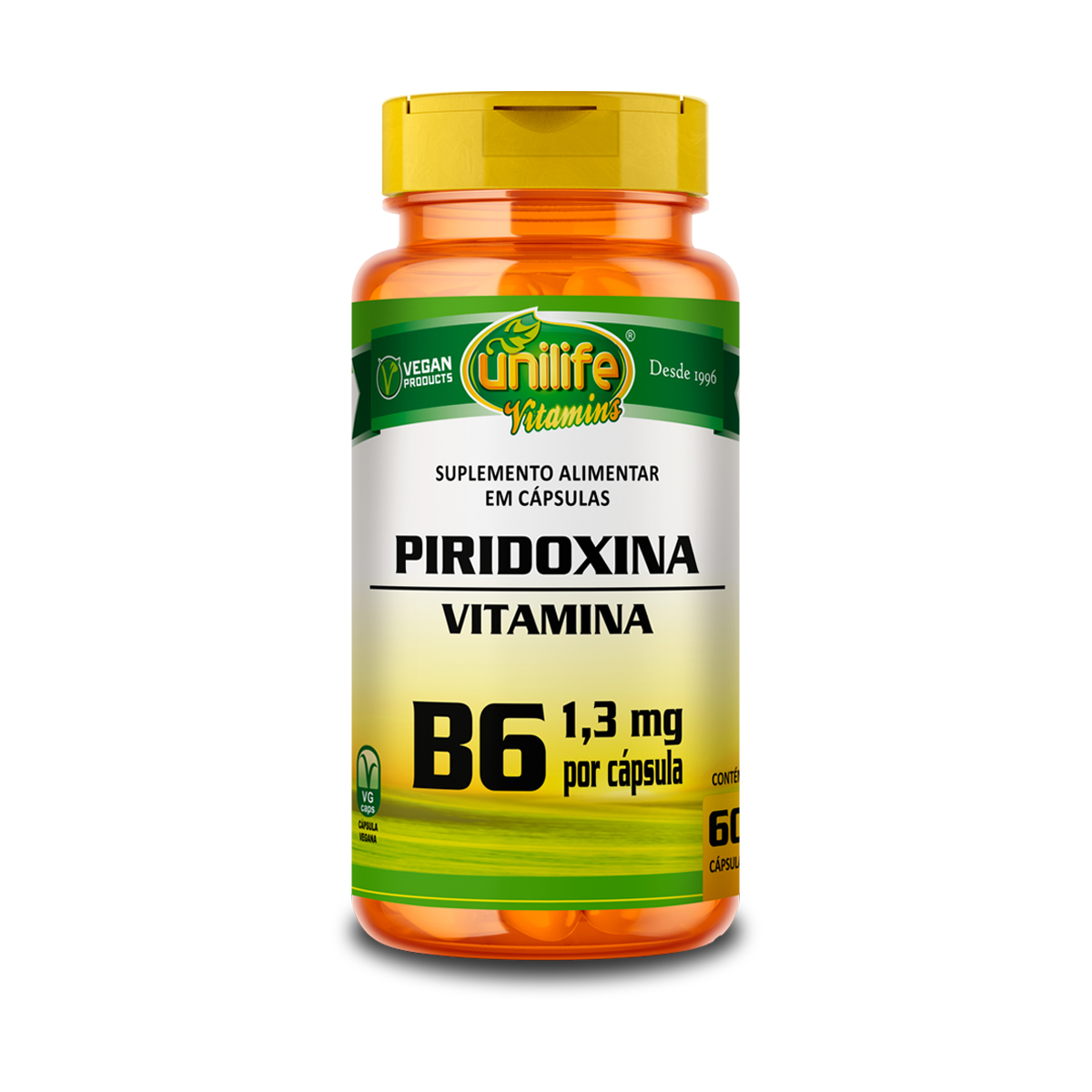 vitamina b6 onde encontrar