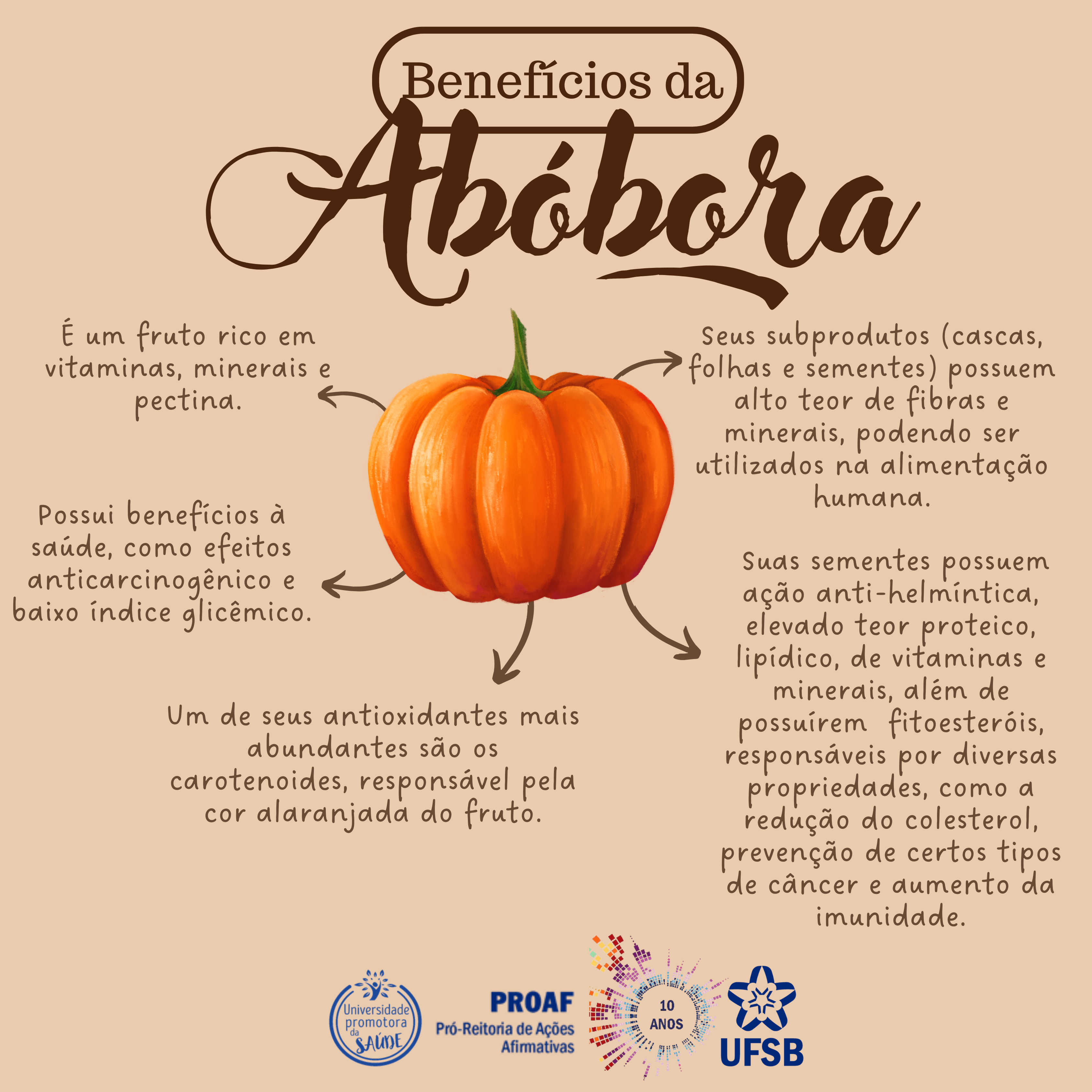 Receitas fáceis com abóbora espaguete