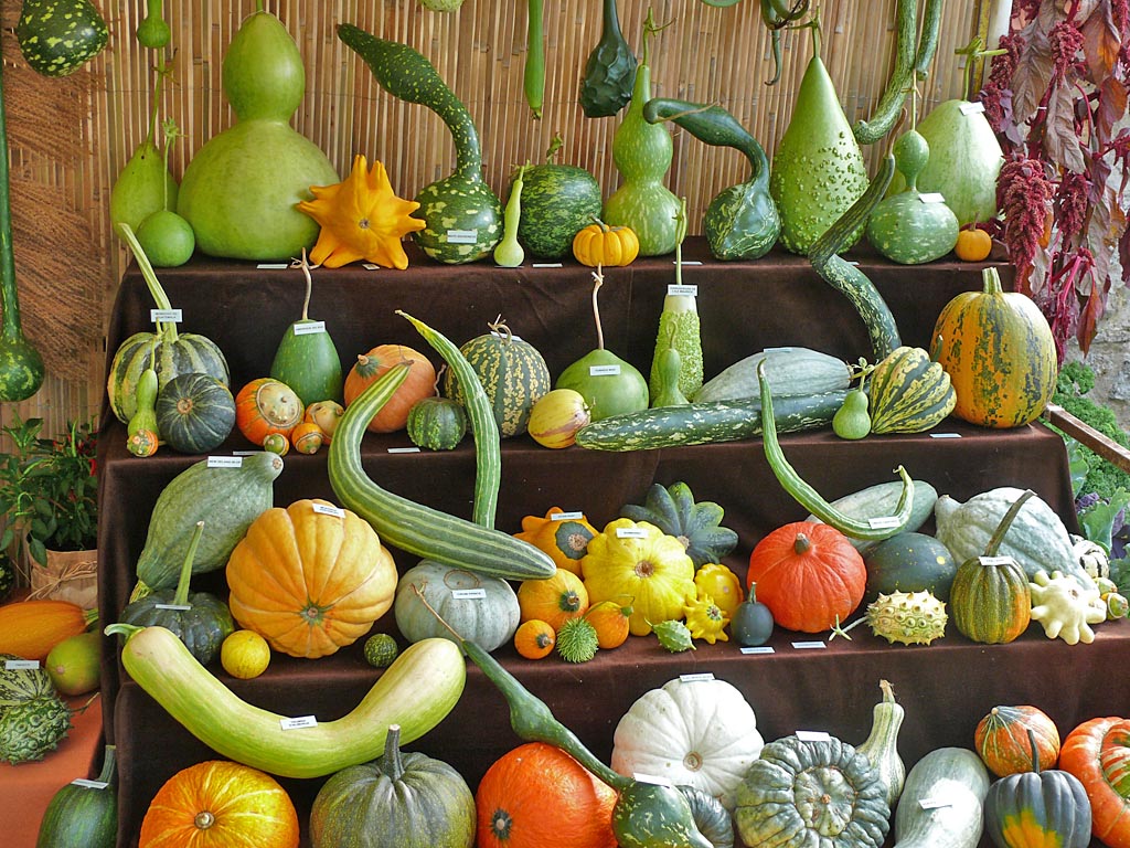 Receitas de Espaguete de Abobrinha para uma Dieta Saudável