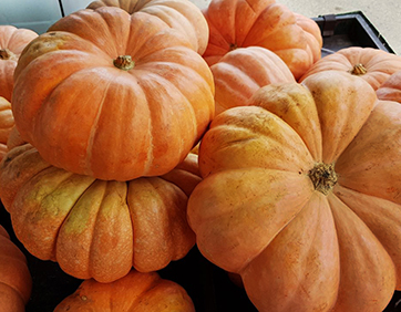 Benefícios das Sementes de Abóbora para a Saúde