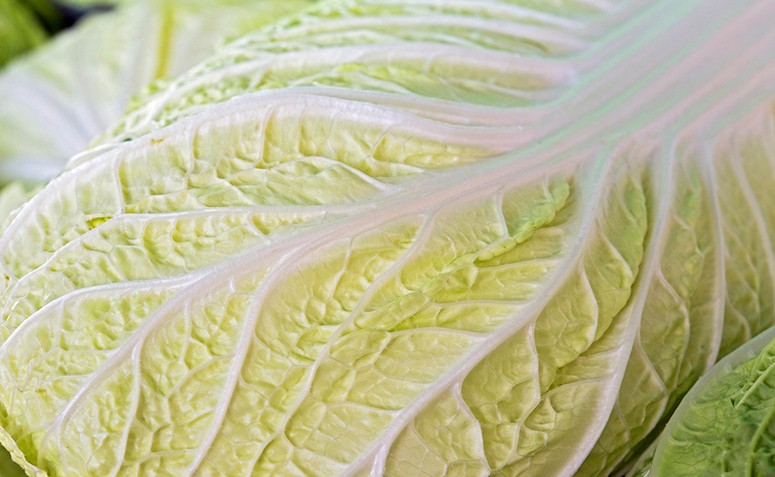 benefícios da acelga para o intestino