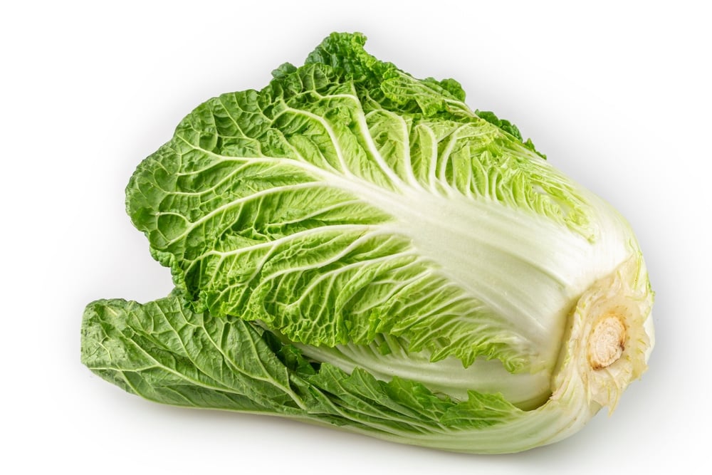 Contraindicações da Acelga: Cálculos Renais e Outros Riscos