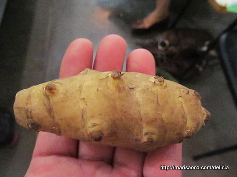 Os Perigos do Consumo Excessivo de Topinambo