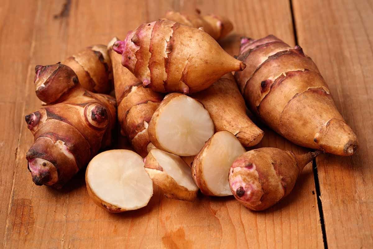 Como Cultivar Topinambo em Casa