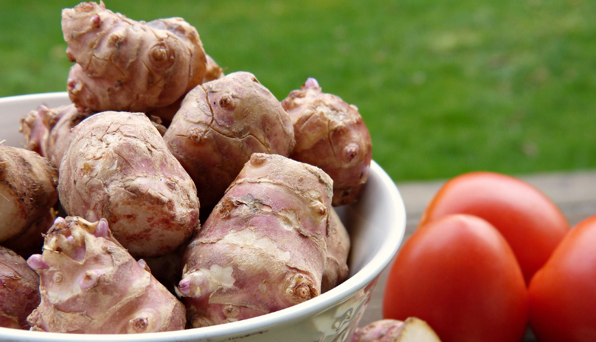 Topinambo vs. Batata: Qual a Melhor Opção?