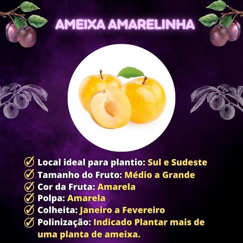 Os Nutrientes Essenciais da Ameixa Amarela para sua Saúde