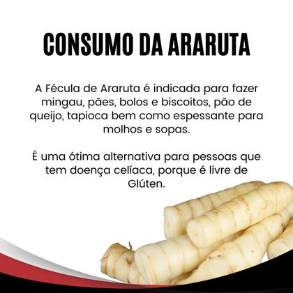 10 Receitas Incríveis com Araruta para o Dia a Dia
