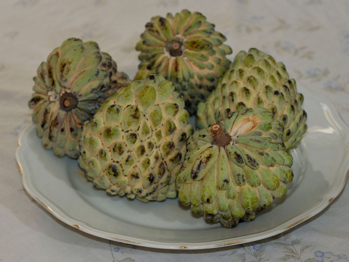 10 Frutas Seguras para Gestantes Trimestre a Trimestre