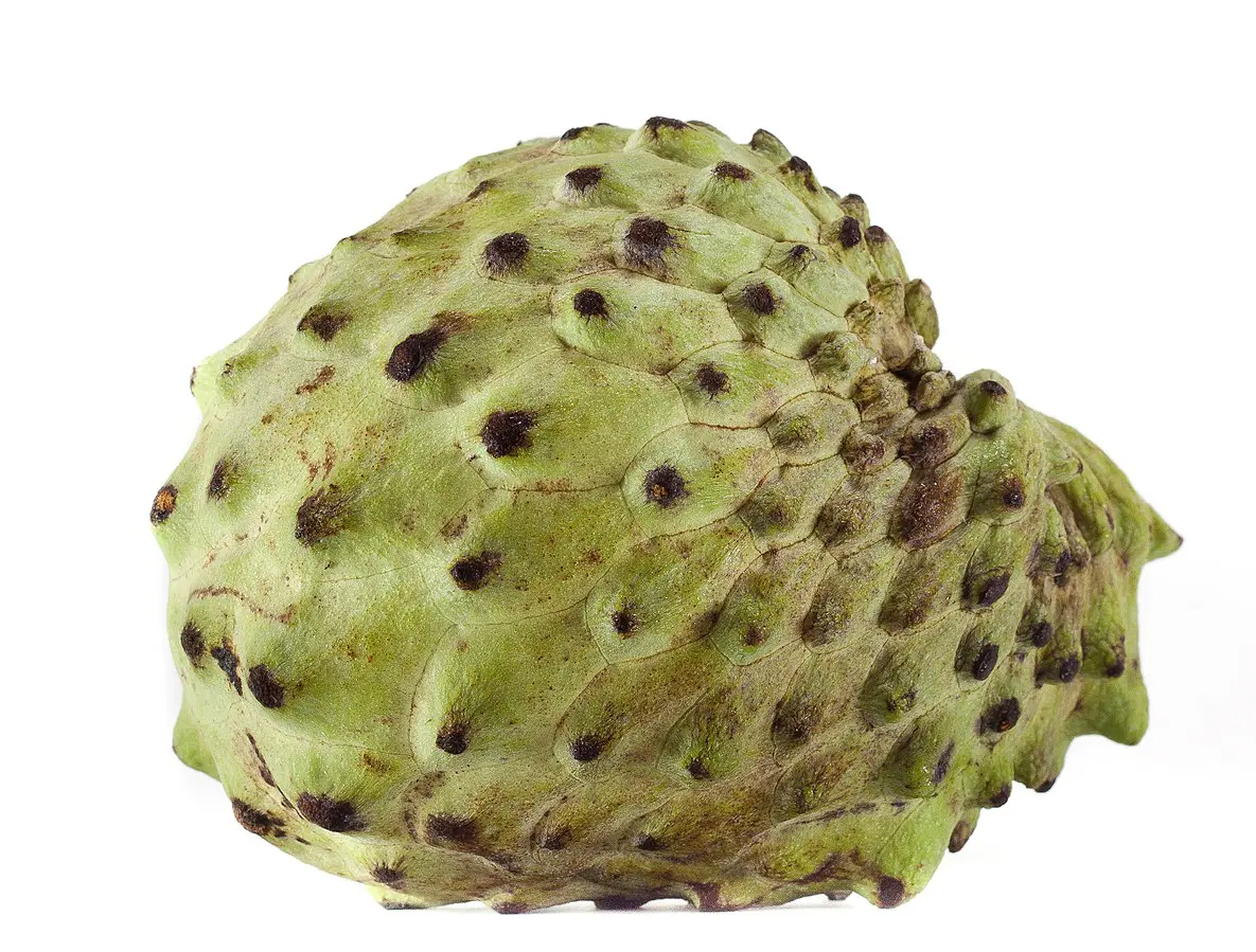 Atemóia vs. Fruta do Conde: Qual a Melhor Opção para Grávidas?