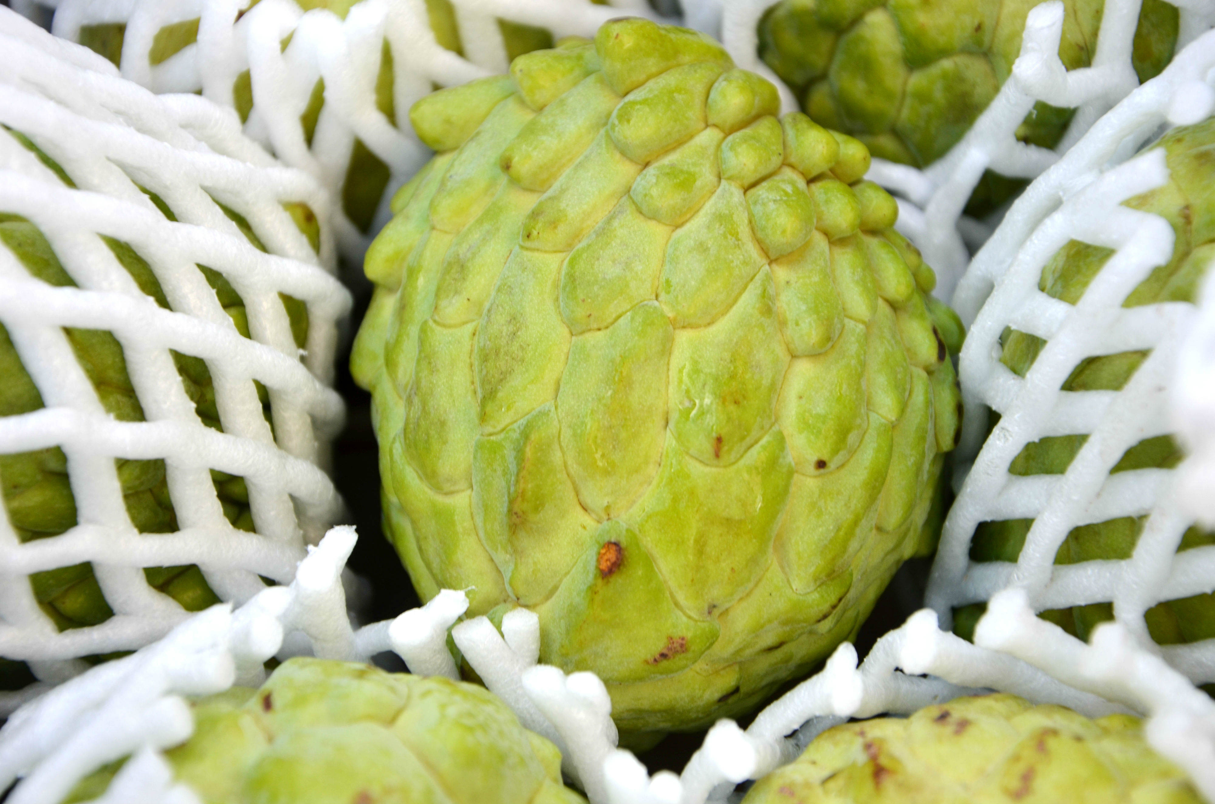 A Casca da Atemoia: Um Tesouro Nutricional que Você Não Sabia