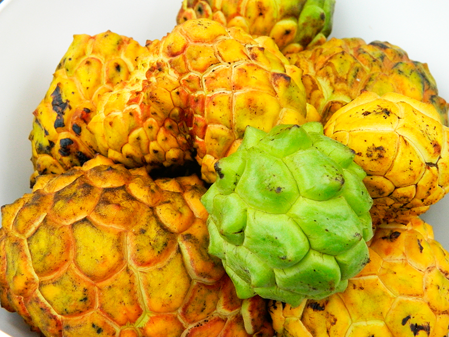 Atemoia e Prevenção de Doenças: O Que Dizem as Pesquisas da Unicamp