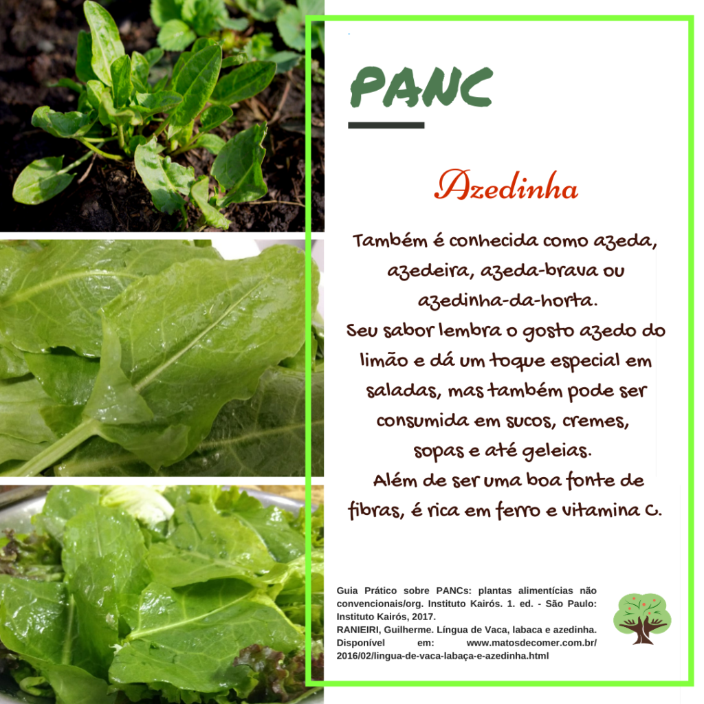 benefícios da azedinha francesa