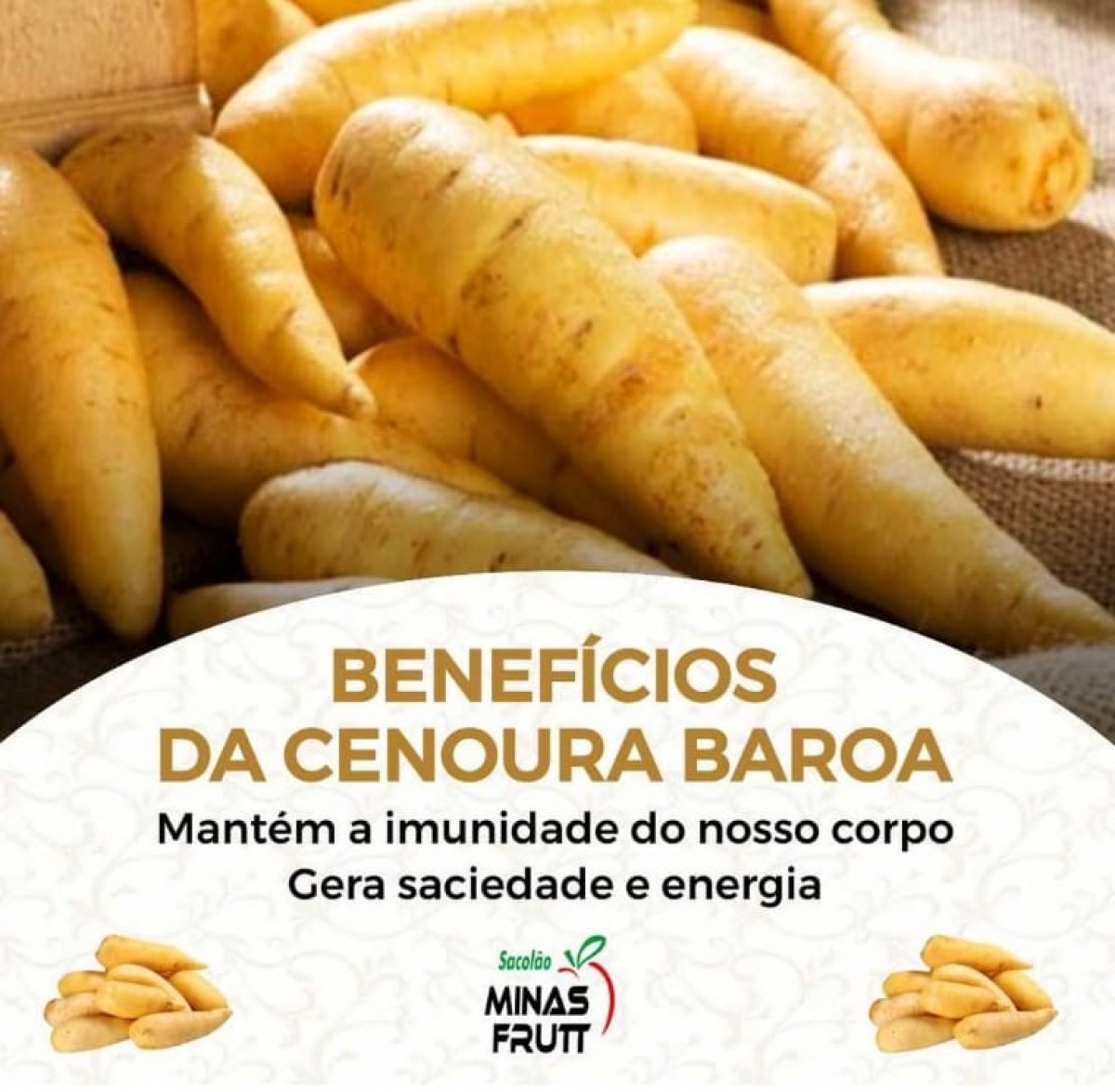 Guia completo de vitaminas e minerais na batata-baroa