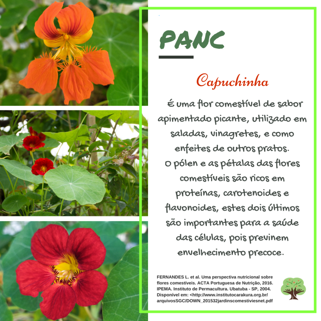 benefícios da capuchinha comestível