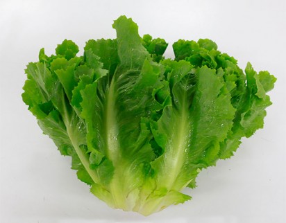 Receitas deliciosas com chicória para o dia a dia