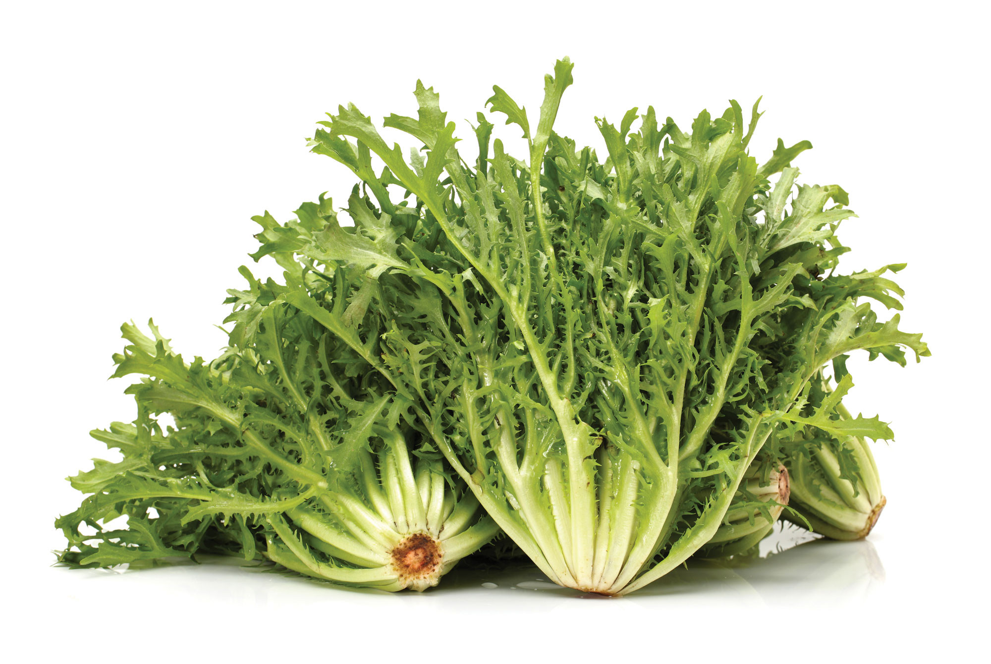 Os segredos da inulina da chicória para um intestino saudável