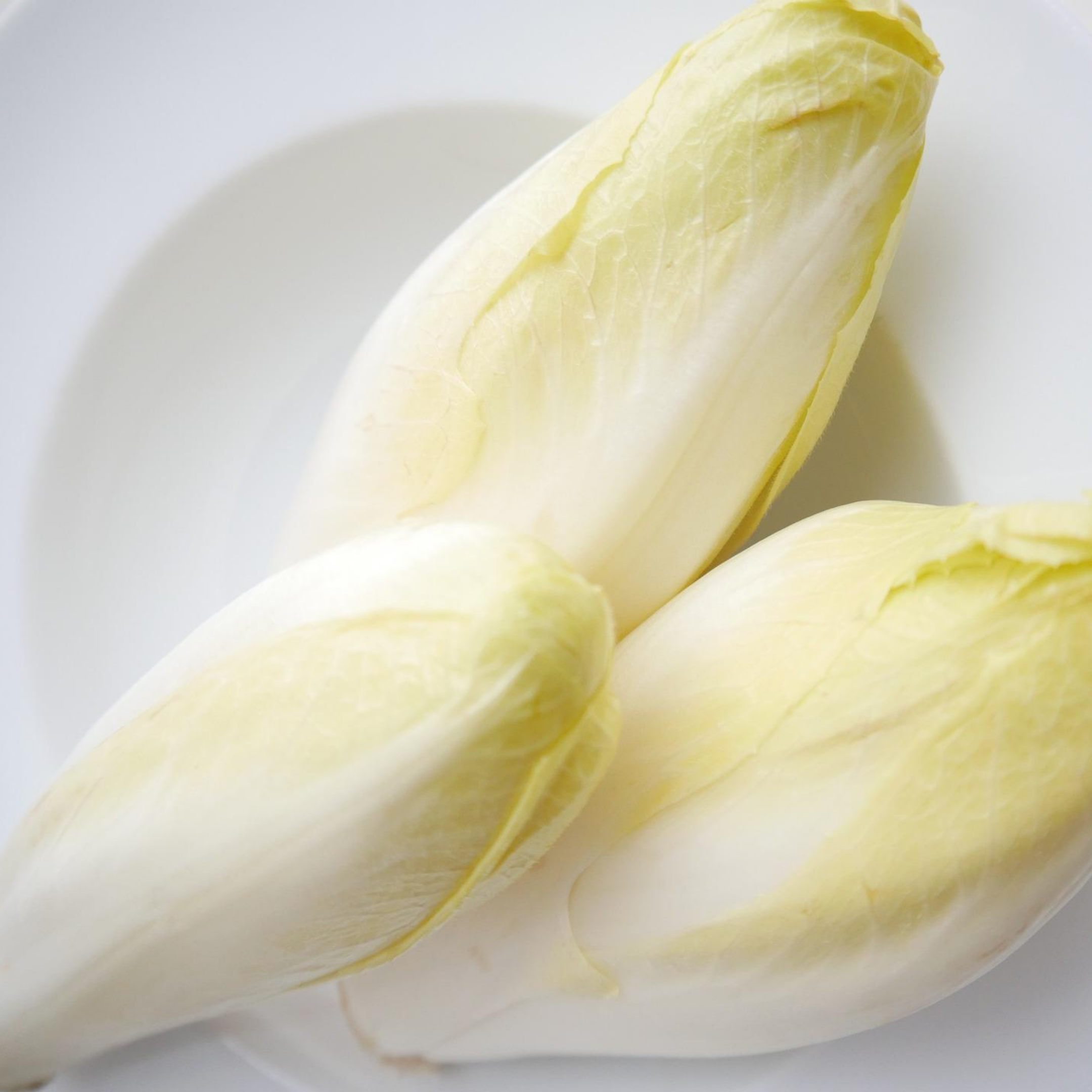 Receitas deliciosas com chicória para o dia a dia