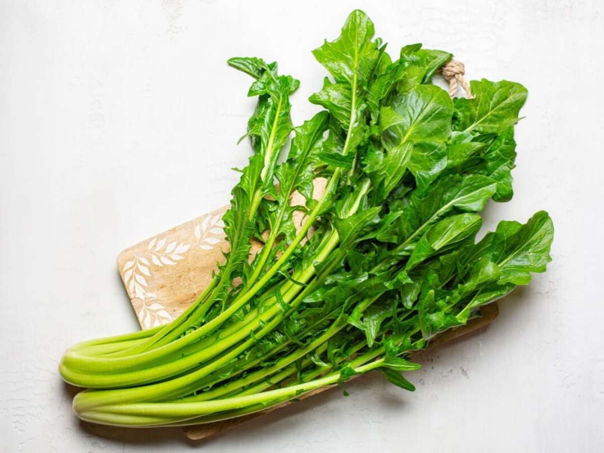 Receita de Chá de Chicória para Alívio Digestivo